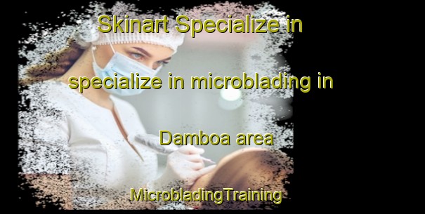 Skinart Specialize in specialize in microblading in Damboa area | MicrobladingTraining | MicrobladingClasses | SkinartTraining-Nigeria