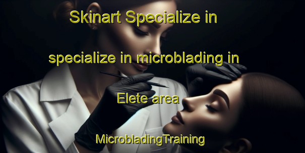 Skinart Specialize in specialize in microblading in Elete area | #MicrobladingTraining #MicrobladingClasses #SkinartTraining-Nigeria