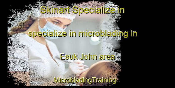 Skinart Specialize in specialize in microblading in Esuk John area | MicrobladingTraining | MicrobladingClasses | SkinartTraining-Nigeria
