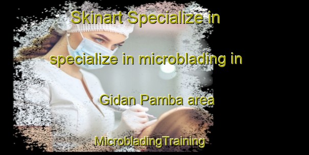 Skinart Specialize in specialize in microblading in Gidan Pamba area | MicrobladingTraining | MicrobladingClasses | SkinartTraining-Nigeria
