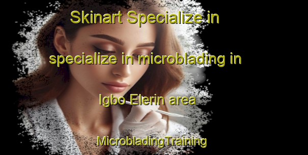 Skinart Specialize in specialize in microblading in Igbo Elerin area | #MicrobladingTraining #MicrobladingClasses #SkinartTraining-Nigeria