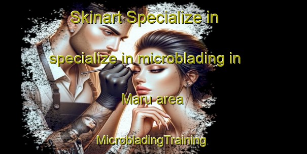 Skinart Specialize in specialize in microblading in Maru area | #MicrobladingTraining #MicrobladingClasses #SkinartTraining-Nigeria