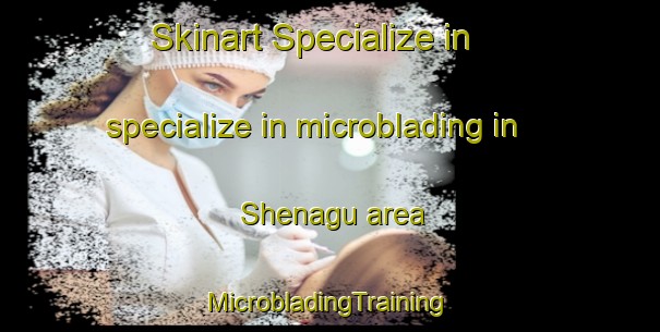 Skinart Specialize in specialize in microblading in Shenagu area | #MicrobladingTraining #MicrobladingClasses #SkinartTraining-Nigeria