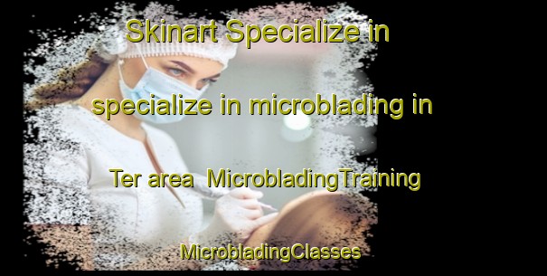 Skinart Specialize in specialize in microblading in Ter area | MicrobladingTraining | MicrobladingClasses | SkinartTraining-Nigeria