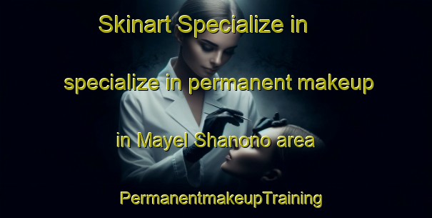 Skinart Specialize in specialize in permanent makeup in Mayel Shanono area | PermanentmakeupTraining | PermanentmakeupClasses | SkinartTraining-Nigeria