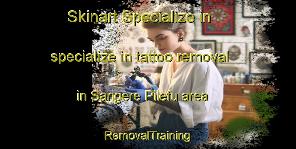 Skinart Specialize in specialize in tattoo removal in Sangere Pilefu area | RemovalTraining | RemovalClasses | SkinartTraining-Nigeria