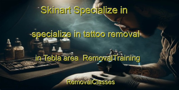 Skinart Specialize in specialize in tattoo removal in Tebla area | RemovalTraining | RemovalClasses | SkinartTraining-Nigeria