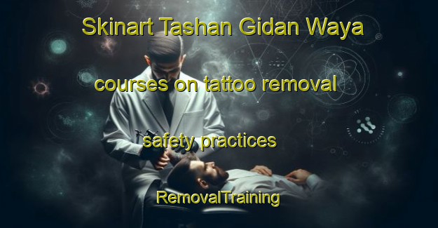 Skinart Tashan Gidan Waya courses on tattoo removal safety practices | RemovalTraining | RemovalClasses | SkinartTraining-Nigeria