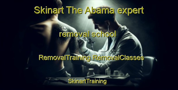 Skinart The Abama expert removal school | #RemovalTraining #RemovalClasses #SkinartTraining-Nigeria