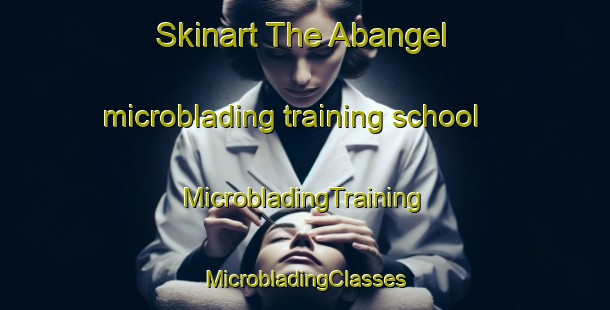 Skinart The Abangel microblading training school | #MicrobladingTraining #MicrobladingClasses #SkinartTraining-Nigeria