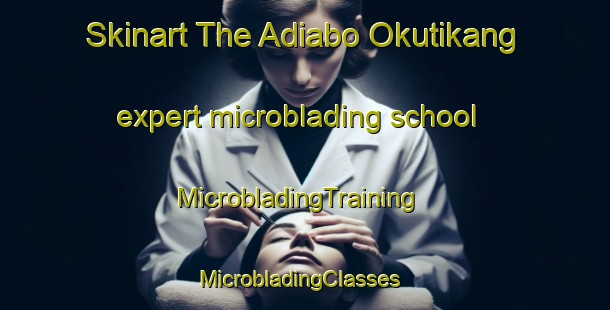 Skinart The Adiabo Okutikang expert microblading school | MicrobladingTraining | MicrobladingClasses | SkinartTraining-Nigeria