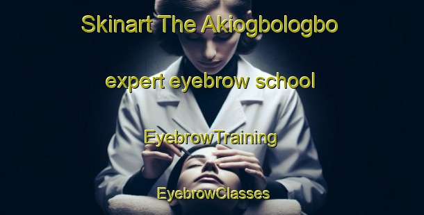 Skinart The Akiogbologbo expert eyebrow school | EyebrowTraining | EyebrowClasses | SkinartTraining-Nigeria