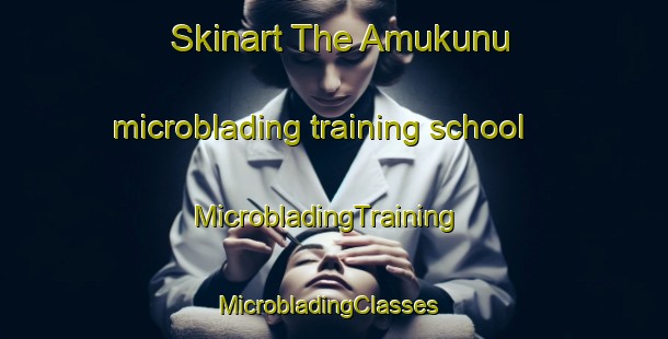 Skinart The Amukunu microblading training school | MicrobladingTraining | MicrobladingClasses | SkinartTraining-Nigeria