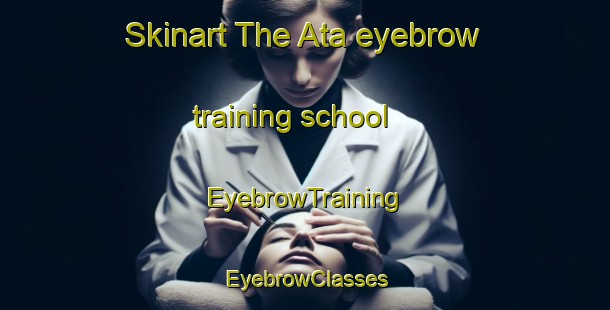 Skinart The Ata eyebrow training school | EyebrowTraining | EyebrowClasses | SkinartTraining-Nigeria