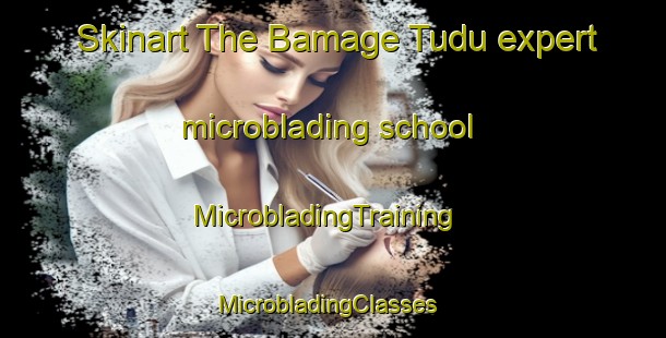 Skinart The Bamage Tudu expert microblading school | MicrobladingTraining | MicrobladingClasses | SkinartTraining-Nigeria