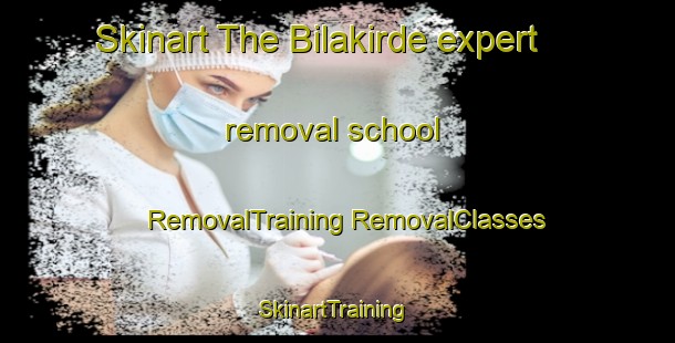 Skinart The Bilakirde expert removal school | #RemovalTraining #RemovalClasses #SkinartTraining-Nigeria