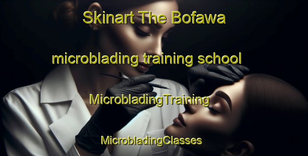 Skinart The Bofawa microblading training school | MicrobladingTraining | MicrobladingClasses | SkinartTraining-Nigeria