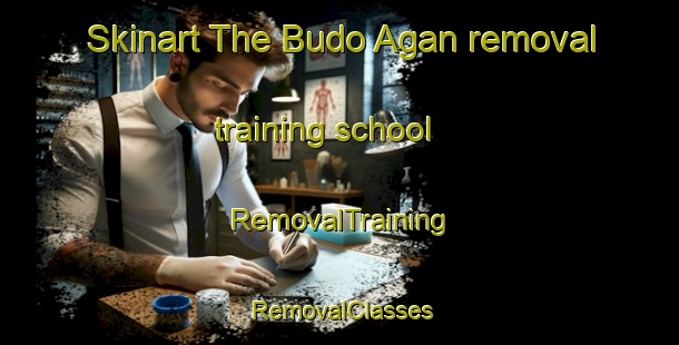 Skinart The Budo Agan removal training school | RemovalTraining | RemovalClasses | SkinartTraining-Nigeria