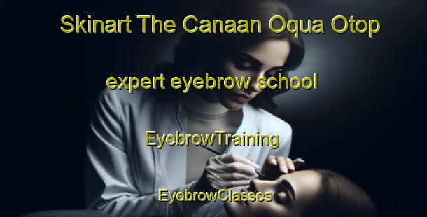 Skinart The Canaan Oqua Otop expert eyebrow school | EyebrowTraining | EyebrowClasses | SkinartTraining-Nigeria