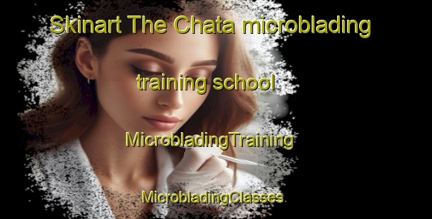 Skinart The Chata microblading training school | MicrobladingTraining | MicrobladingClasses | SkinartTraining-Nigeria