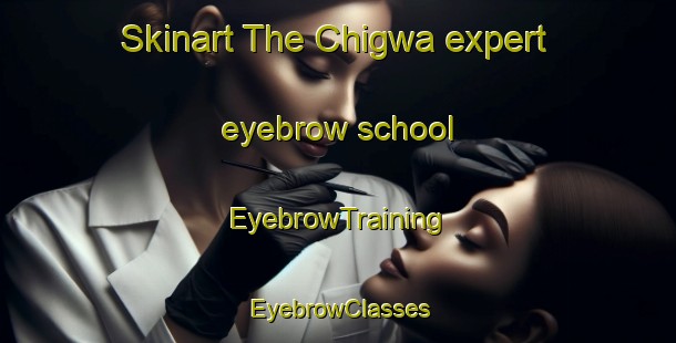 Skinart The Chigwa expert eyebrow school | EyebrowTraining | EyebrowClasses | SkinartTraining-Nigeria