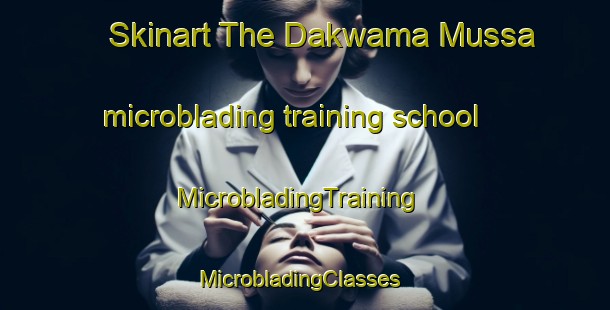 Skinart The Dakwama Mussa microblading training school | MicrobladingTraining | MicrobladingClasses | SkinartTraining-Nigeria