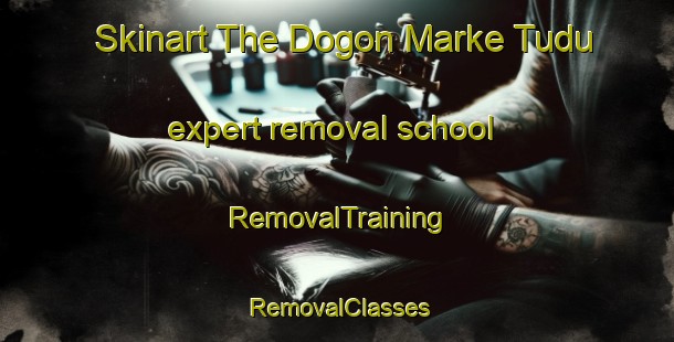 Skinart The Dogon Marke Tudu expert removal school | RemovalTraining | RemovalClasses | SkinartTraining-Nigeria