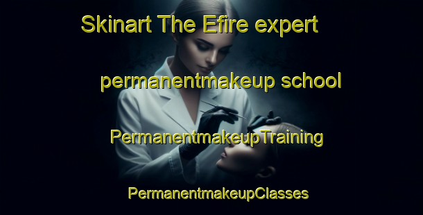 Skinart The Efire expert permanentmakeup school | PermanentmakeupTraining | PermanentmakeupClasses | SkinartTraining-Nigeria