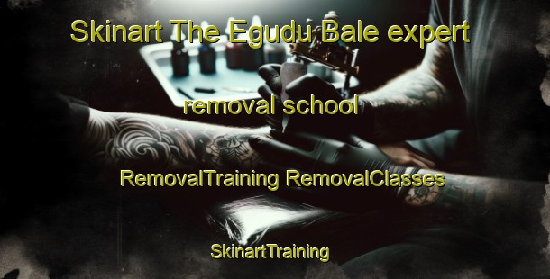 Skinart The Egudu Bale expert removal school | #RemovalTraining #RemovalClasses #SkinartTraining-Nigeria