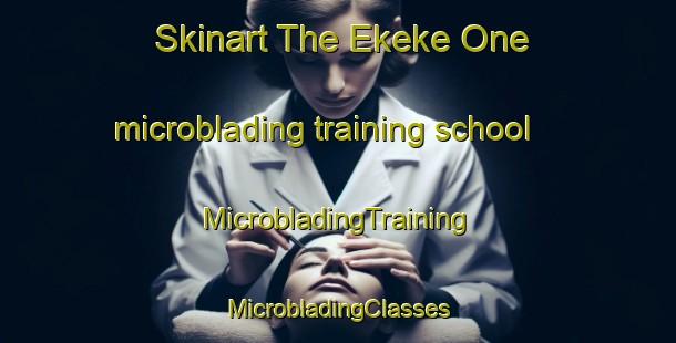 Skinart The Ekeke One microblading training school | #MicrobladingTraining #MicrobladingClasses #SkinartTraining-Nigeria