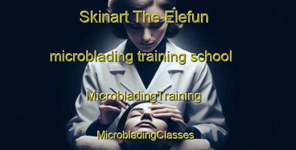 Skinart The Elefun microblading training school | MicrobladingTraining | MicrobladingClasses | SkinartTraining-Nigeria