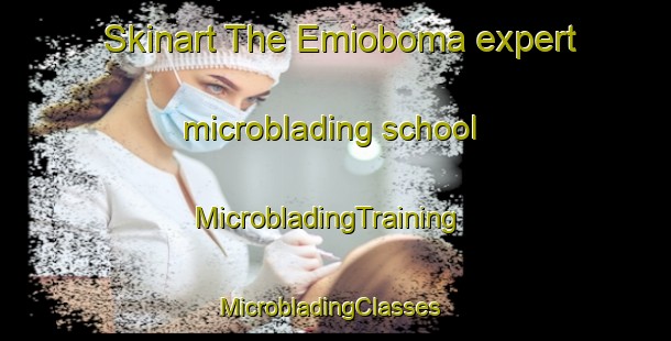 Skinart The Emioboma expert microblading school | MicrobladingTraining | MicrobladingClasses | SkinartTraining-Nigeria