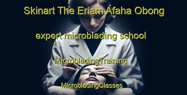 Skinart The Eriam Afaha Obong expert microblading school | MicrobladingTraining | MicrobladingClasses | SkinartTraining-Nigeria