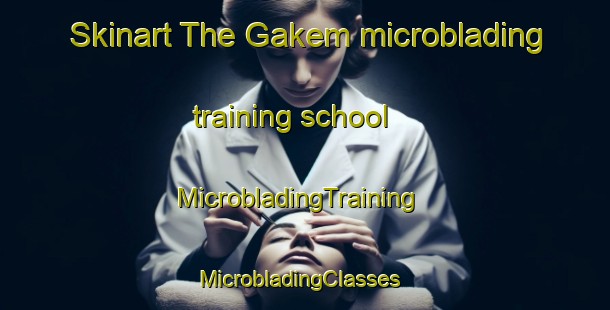 Skinart The Gakem microblading training school | MicrobladingTraining | MicrobladingClasses | SkinartTraining-Nigeria