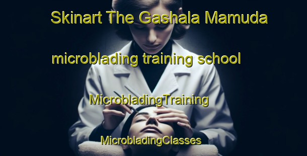 Skinart The Gashala Mamuda microblading training school | MicrobladingTraining | MicrobladingClasses | SkinartTraining-Nigeria