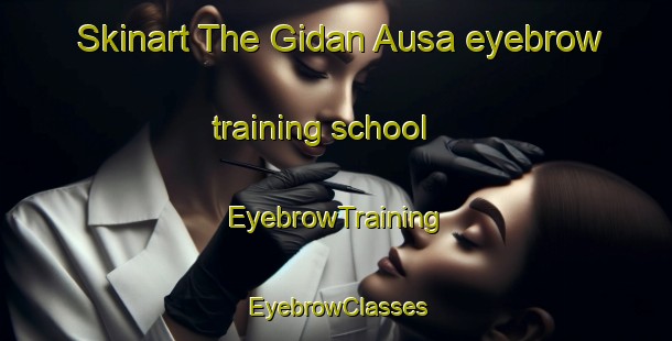 Skinart The Gidan Ausa eyebrow training school | EyebrowTraining | EyebrowClasses | SkinartTraining-Nigeria