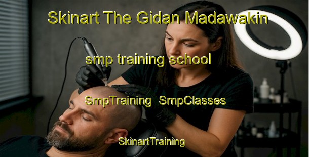 Skinart The Gidan Madawakin smp training school | SmpTraining | SmpClasses | SkinartTraining-Nigeria