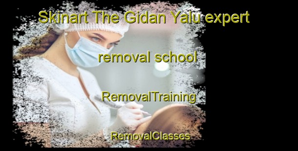 Skinart The Gidan Yalu expert removal school | RemovalTraining | RemovalClasses | SkinartTraining-Nigeria