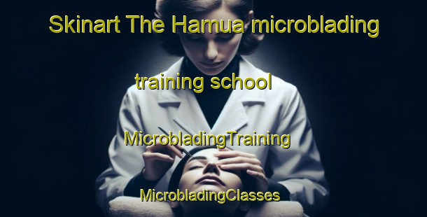 Skinart The Hamua microblading training school | MicrobladingTraining | MicrobladingClasses | SkinartTraining-Nigeria