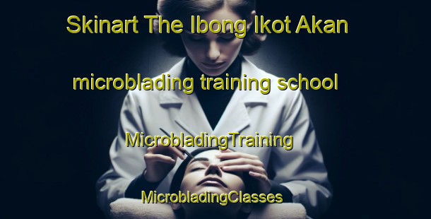 Skinart The Ibong Ikot Akan microblading training school | MicrobladingTraining | MicrobladingClasses | SkinartTraining-Nigeria