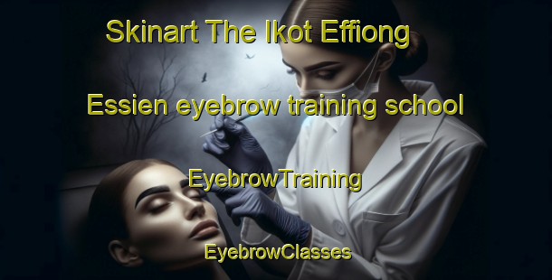 Skinart The Ikot Effiong Essien eyebrow training school | EyebrowTraining | EyebrowClasses | SkinartTraining-Nigeria