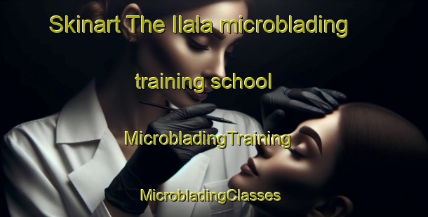 Skinart The Ilala microblading training school | MicrobladingTraining | MicrobladingClasses | SkinartTraining-Nigeria
