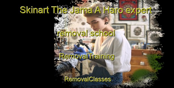 Skinart The Jama A Haro expert removal school | RemovalTraining | RemovalClasses | SkinartTraining-Nigeria