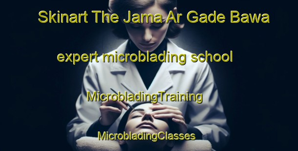 Skinart The Jama Ar Gade Bawa expert microblading school | MicrobladingTraining | MicrobladingClasses | SkinartTraining-Nigeria