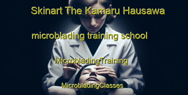 Skinart The Kamaru Hausawa microblading training school | MicrobladingTraining | MicrobladingClasses | SkinartTraining-Nigeria