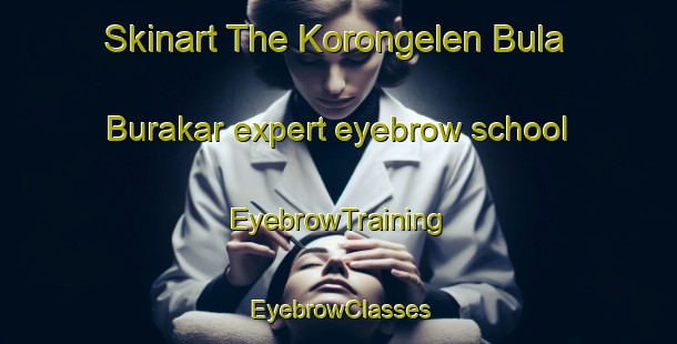 Skinart The Korongelen Bula Burakar expert eyebrow school | EyebrowTraining | EyebrowClasses | SkinartTraining-Nigeria