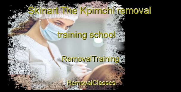 Skinart The Kpimchi removal training school | RemovalTraining | RemovalClasses | SkinartTraining-Nigeria