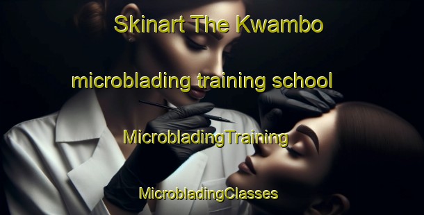 Skinart The Kwambo microblading training school | MicrobladingTraining | MicrobladingClasses | SkinartTraining-Nigeria