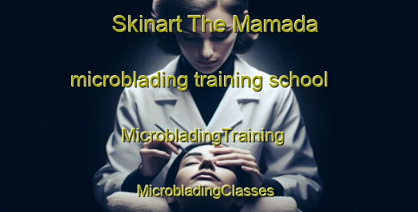 Skinart The Mamada microblading training school | MicrobladingTraining | MicrobladingClasses | SkinartTraining-Nigeria