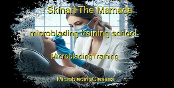 Skinart The Mamada microblading training school | MicrobladingTraining | MicrobladingClasses | SkinartTraining-Nigeria